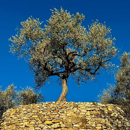 Panoramic Townhouse Casa Del Borgo Σπίτι διακοπών Chiusanico