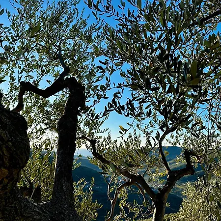 Panoramic Townhouse Casa Del Borgo Σπίτι διακοπών Chiusanico